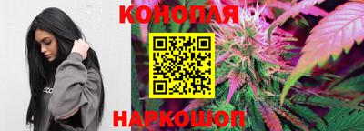 дживик Кандалакша