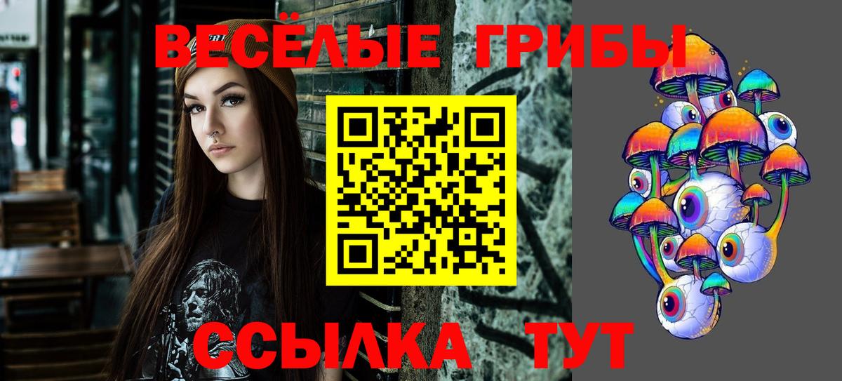 Галлюциногенные грибы ЛСД  Вход с VPN  Курчалой  Галлюциногенные грибы Psilocybe 