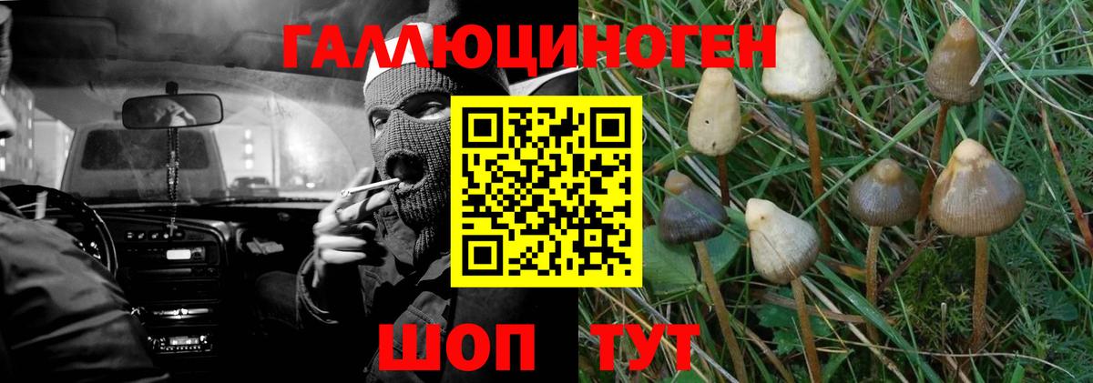 COCAIN  Вход с VPN  Мефедрон   Гашиш  Курчалой  Alpha-PVP СОЛЬ кристаллы  Каннабис  ГАШ 